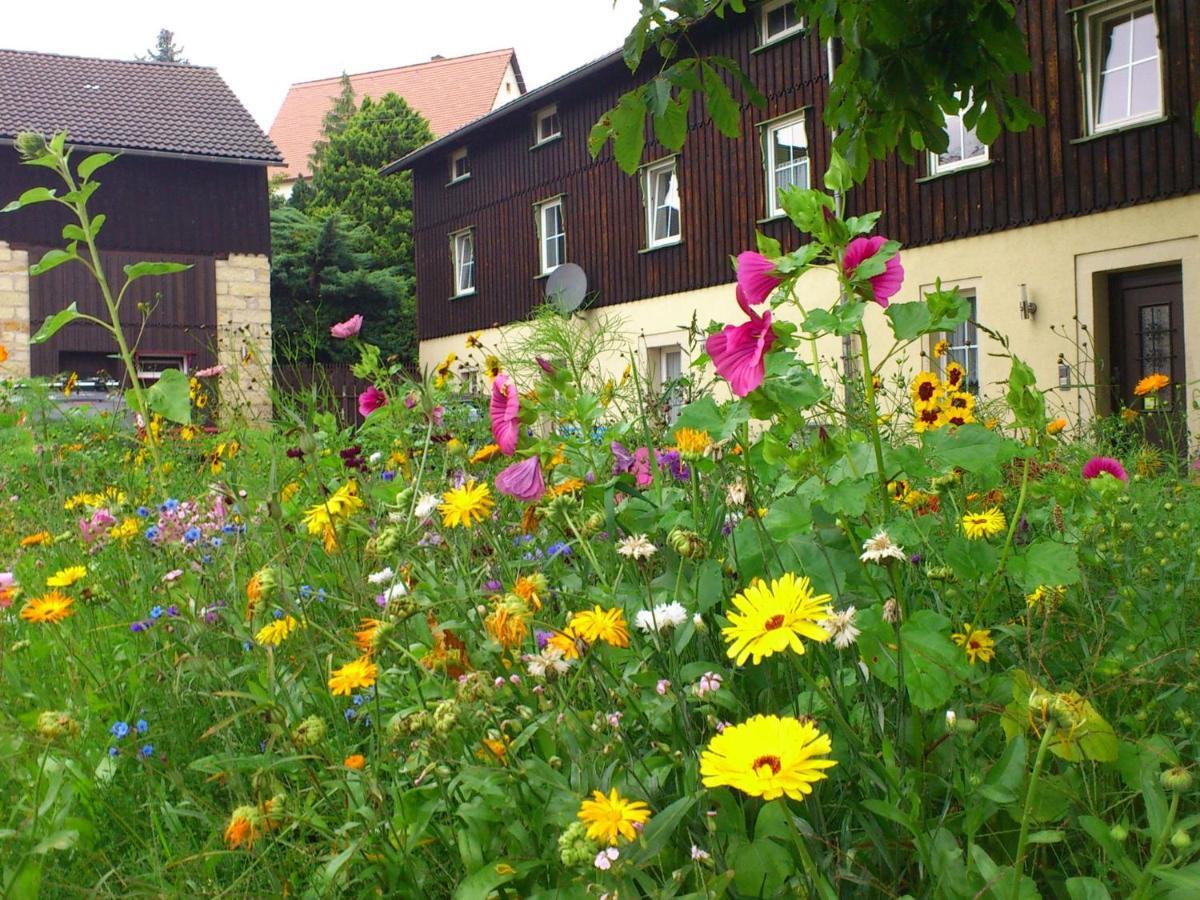 Comfy Apartment in Wei ig with Garden Weissig  Zimmer foto